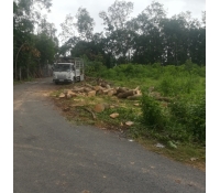 http://media.nhabinhduong.vn/avatar/image/2019/07/05/0QEkeB1hfI.jpg