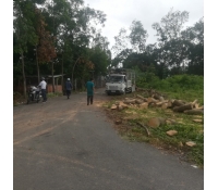 http://media.nhabinhduong.vn/avatar/image/2019/07/05/nkR6xWrBCg.jpg