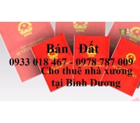 http://media.nhabinhduong.vn/avatar/image/2021/01/03/5DdLTVVo0s.jpg