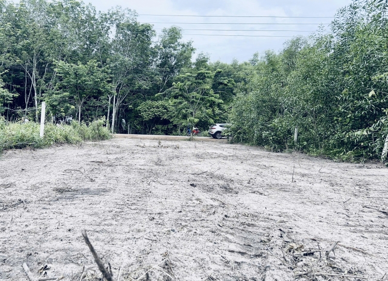 Đất mặt tiền ĐH-609 Phường Phú An - TPHCM